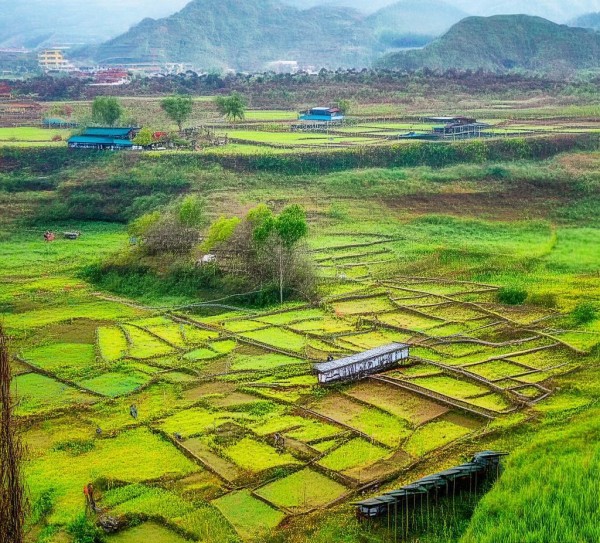 商贸公司助力乡村振兴精准对接需求推动发展