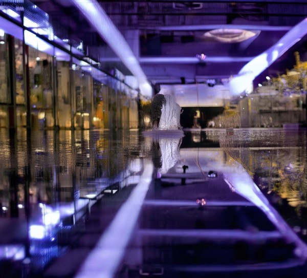 邵东新闻国际商贸城,新地标 邵东新闻国际商贸城,新地标