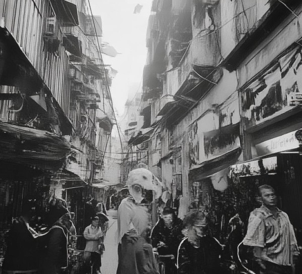 经济助力,商贸物流基地项目助力营庄发展 经济助力,商贸物流基地项目助力营庄发展