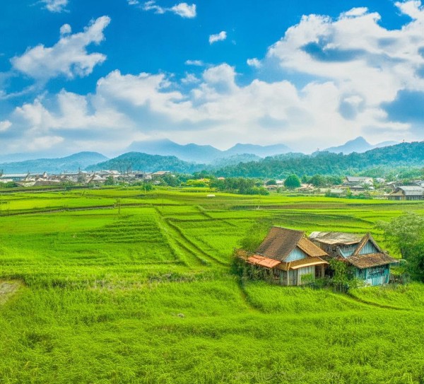 助力乡村振兴，开启商贸城新篇章