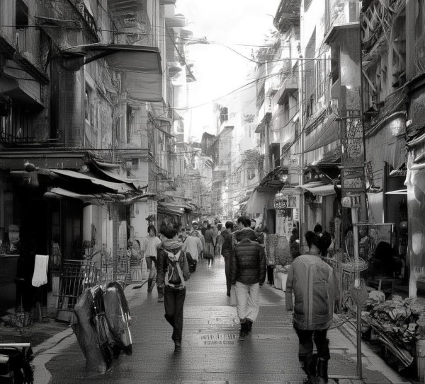 商贸服务中心活力显，服务理念创新展