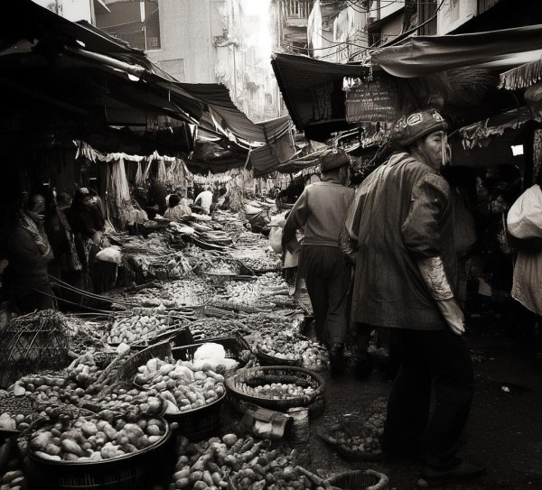 鄂温克旗商贸服务，助力区域经济发展