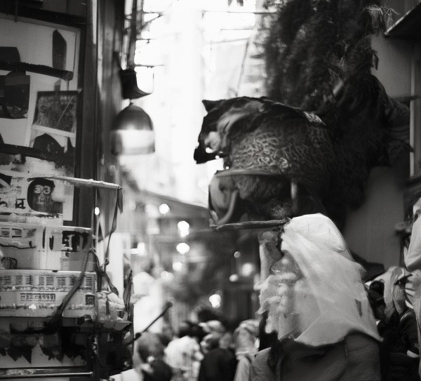 商贸型小城镇，经济活力与智慧管理的创新