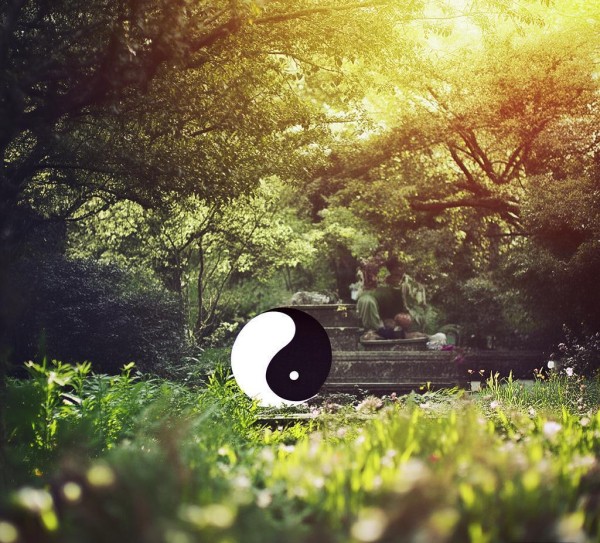 阴阳相待，慢生活慢节奏，静中生新