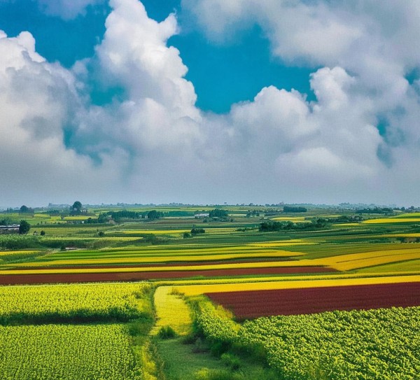 构建商贸城，助力乡村振兴，推动乡村振兴新引擎