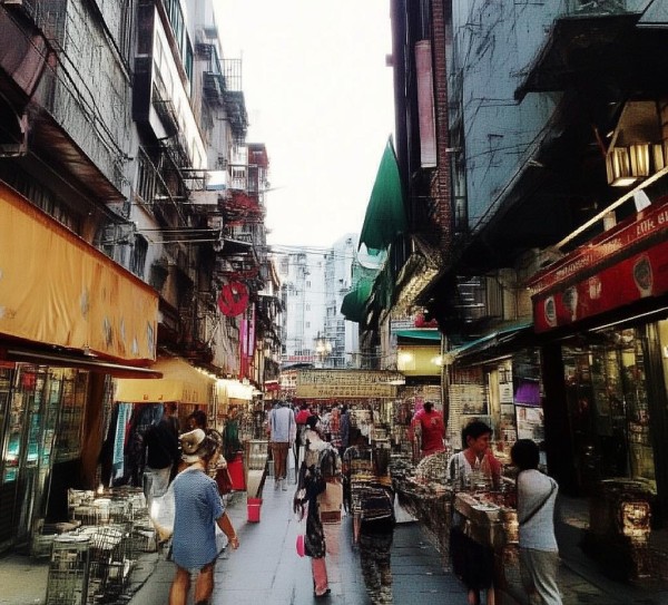 商贸城经营项目政策，商业生态的新机遇