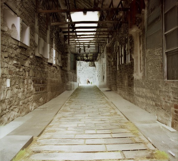 沈阳万创商贸，推动经济转型升级的创新新引擎