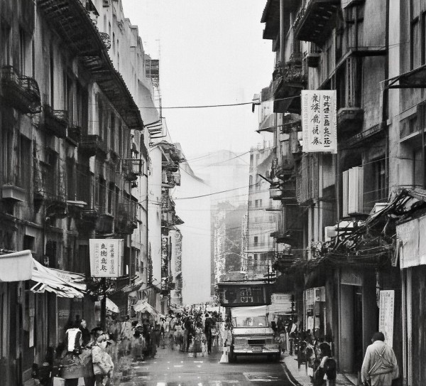 沧州红枣商贸区,助力农业经济高质量发展 沧州红枣商贸区,助力农业经济高质量发展